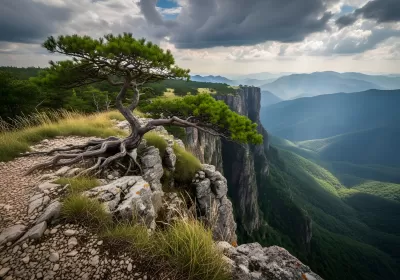 Imagen PNG para descargar